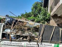 Best Residential Junk Removal  in Avra Valley, AZ